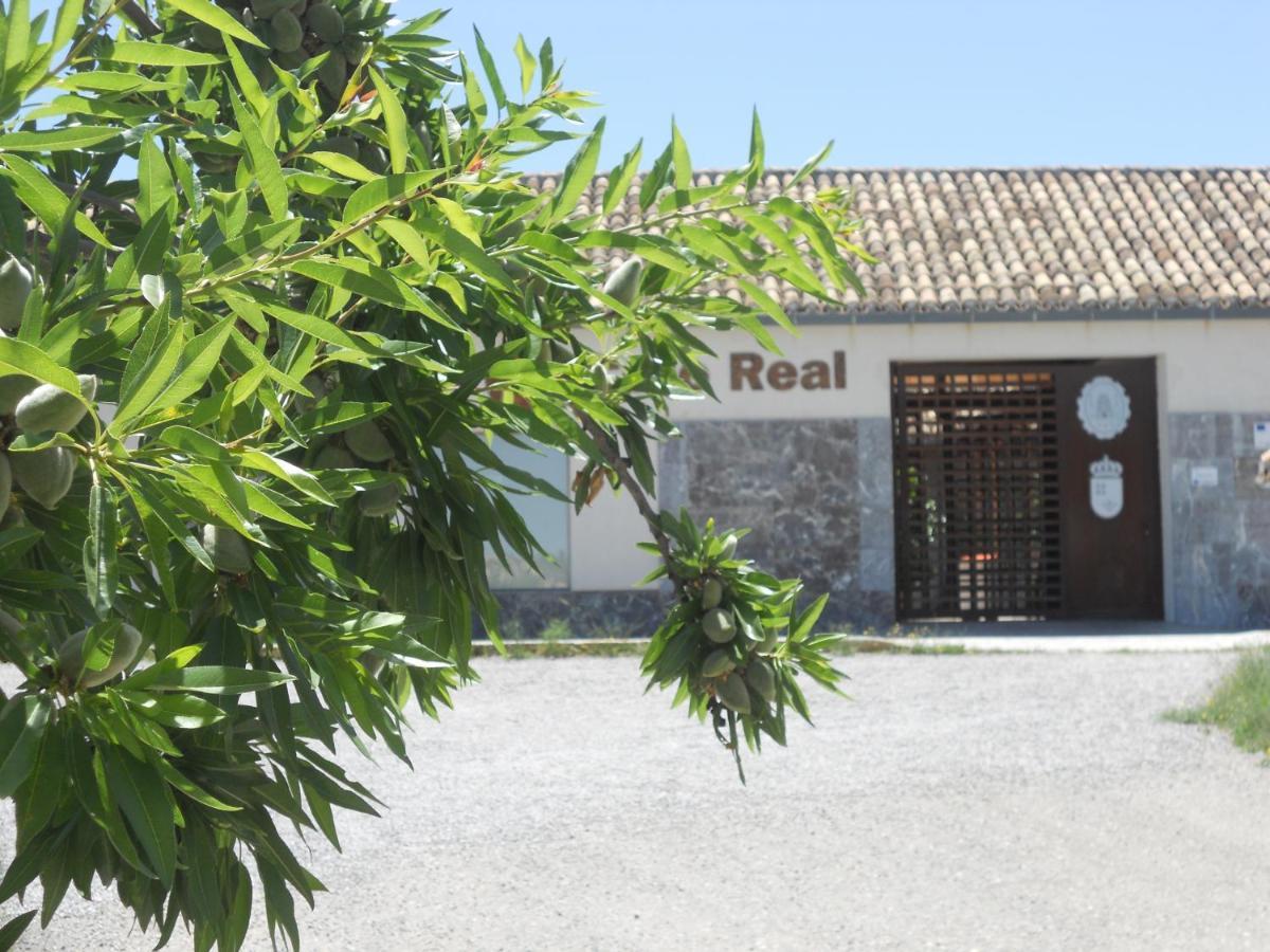 Albergue Coto Real De La Marina Cehegín Buitenkant foto